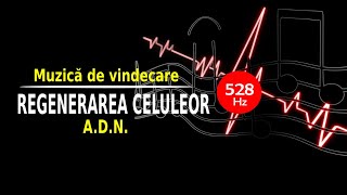 528 Hz  MUZICĂ DE VINDECARE  REFACEREA ADN SI A STRUCTURII CELULARE [upl. by Spike]