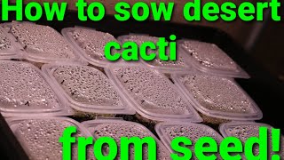 How to sow desert cacti from seed  My huge seed sowing project [upl. by Yerggoeg]