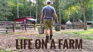 Life On A Farm  Morning amp Evening Chores  Our Daily Homestead Routine [upl. by Dal923]