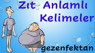 Zıt Anlamlı Kelimeler [upl. by Glanville]