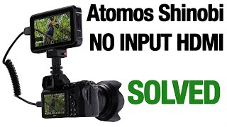 Atomos Shinobi NO INPUT problems with Sony SOLVED [upl. by Featherstone369]