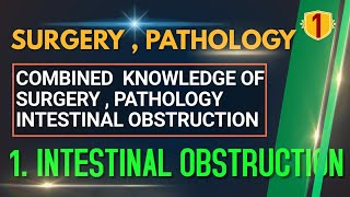 Intestinal Obstruction I  Strangulated Hernia  Acute Intussusception  TRAILER [upl. by Artimas]