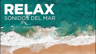 10 HORAS DE SONIDO DE OLAS PARA DORMIR RELAJACIÓN ESTUDIAR O TRABAJAR SONIDOS DEL MAR OCÉANO [upl. by Jarlath]