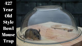 427 Year Old Style Bowl Mouse Trap In Action Mascall Mouse Trap [upl. by Sibeal]