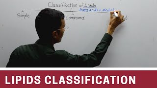 Classification of Lipids [upl. by Diraj]