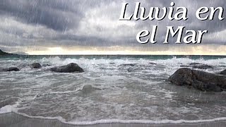 Sonido de Lluvia y Olas del Mar para Relajarse 🌊 Descansar Dormir Meditar Leer 💦 Relajación Profunda [upl. by Norrat769]