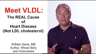 Meet VLDL The REAL Cause of Heart Disease [upl. by Cecilio]