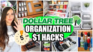 Dollar Tree Organization Hacks Organize in 5 minutes with these PRACTICAL IDEAS [upl. by Trina]