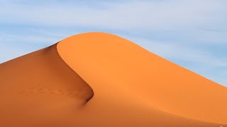 The Sahara desert  Ecosystems [upl. by Ekez934]