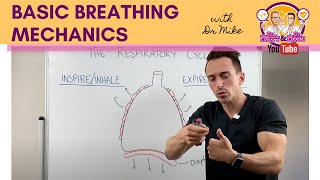 Basic Breathing Mechanics [upl. by Enaoj]