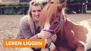 Leren liggen vrijheidsdressuur  PaardenpraatTV [upl. by Refinnaj]