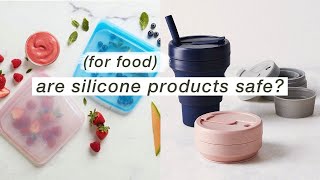 IS SILICONE SAFE AND SUSTAINABLE FOR FOOD USE  An Investigation and review  Stasher Stojo etc [upl. by Ravid]