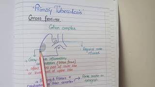 Tuberculosis Pathology  Primary and Secondary TB [upl. by Niryt]