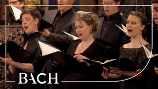 Bach  Motet Singet dem Herrn ein neues Lied BWV 225  MacLeod  Netherlands Bach Society [upl. by Oijile]