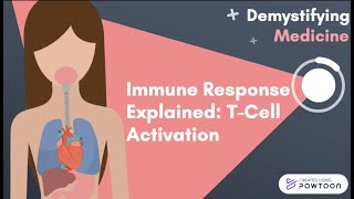 Immune Response Explained TCell Activation [upl. by Illib910]