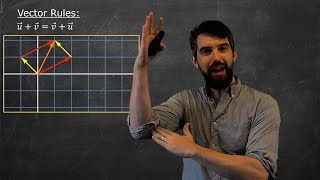 Vector Spaces  Definition amp Examples [upl. by Ahsiat198]