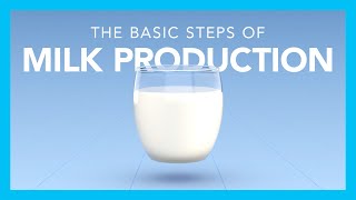 The basic steps of milk production [upl. by Loria]