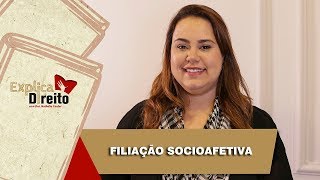 Explica Direito Filiação Socioafetiva  2019 [upl. by Jahncke254]