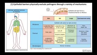 Lecture 2a Introduction to Innate Immunity [upl. by Melcher]