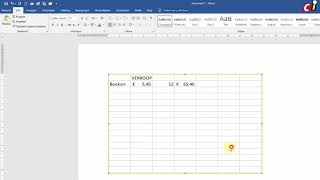 Excel werkblad gebruiken in Word [upl. by Nahum]