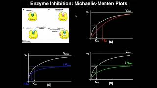 Enzyme Inhibitors  Mechanisms MichaelisMenten Plots amp Effects [upl. by Eelyrag]