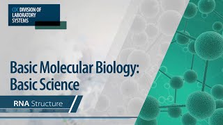 Basic Molecular Biology Basic Science – RNA Structure [upl. by Juditha]