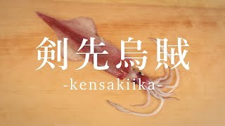 剣先烏賊（けんさきいか）のさばき方  How to filet Swordtip squid ｜日本さばけるプロジェクト（海と日本プロジェクト） [upl. by Audsley]