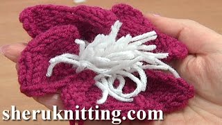 Knitted Flower With Stamens Tutorial 9 Knitting Flowers [upl. by Boiney]