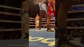 When George Kambosos DROPPED Teofimo Lopez [upl. by Neetsirk]