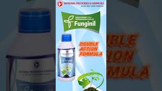 FUNGINIL  Azoxystrobin 71  Propiconazole 119 SE Fungicide [upl. by Brendis]