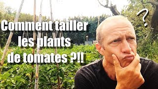 Comment TAILLER les plants de tomates Tuto [upl. by Ecirb]