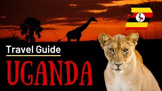 Uganda Tourism Board Travel Guides and Adventures [upl. by Zaid]