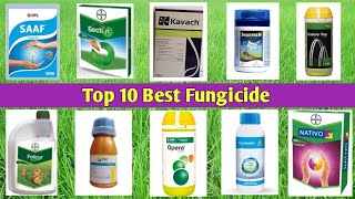 Top 10 Best Fungicide [upl. by Elsilrac]