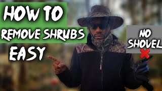 HOW TO REMOVE SHRUBS 🌳EASY  No Shovel❌Landscape Plant Removal [upl. by Llerot]