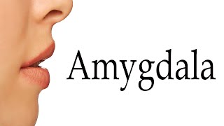 How To Say Amygdala [upl. by Erotavlas]