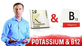 Potassium and Vitamin B12 Balance Explained by DrBerg [upl. by Eirret]