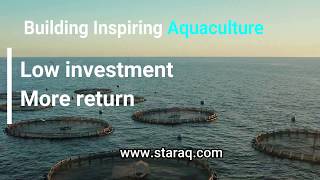 Floating Fish Cage Equipment Designed for Business Aquaculture Farming and Culture in Marine [upl. by Niwrad]