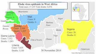 Epidemics Outbreaks and Pandemics [upl. by Birch]