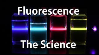 How Fluorescence Works  The Science [upl. by Speroni]