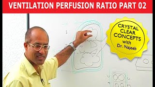 PEEP Ventilator Setting Positive End Expiratory Pressure [upl. by Paryavi]