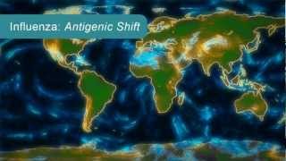 How Influenza Pandemics Occur [upl. by Ahsenre840]