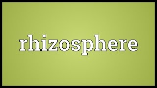 Rhizosphere Meaning [upl. by Cosenza]