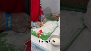 Spring rolls add huye kitchen mein finally tamannapraveenvlogs [upl. by Einnej335]