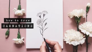 How To Draw Carnations  Floral Illustration [upl. by Eceinert]