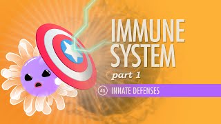 Immune System Part 1 Crash Course Anatomy amp Physiology 45 [upl. by Rahman]