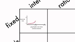 Learning Schedules of Reinforcement [upl. by Torey]