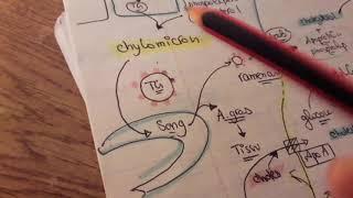 Lipoproteines HDL LDL vLDL Chylomicrons  Made Simple Algerian Dialect [upl. by Jeana307]