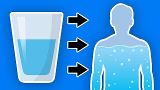 This Happens To Your Body When You Start Drinking More Water Every Day [upl. by Chick782]