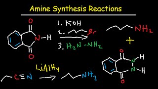 Amine Synthesis Reactions Organic Chemistry  Summary amp Practice Problems [upl. by Renfred520]