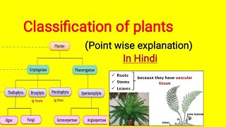 Classification of plants in Hindi  Cryptogam and Phanerogam plantclassification [upl. by Enyleuqcaj]